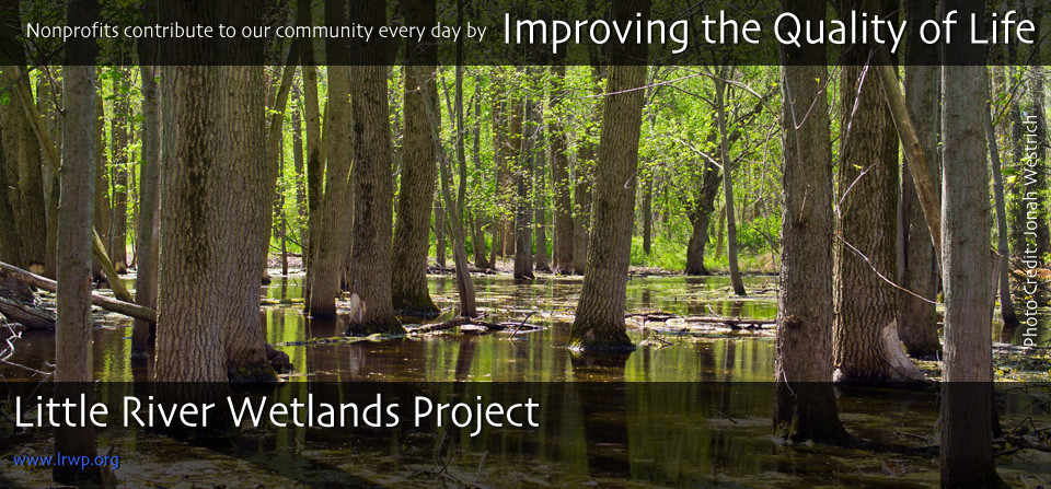 Little River Wetlands Project